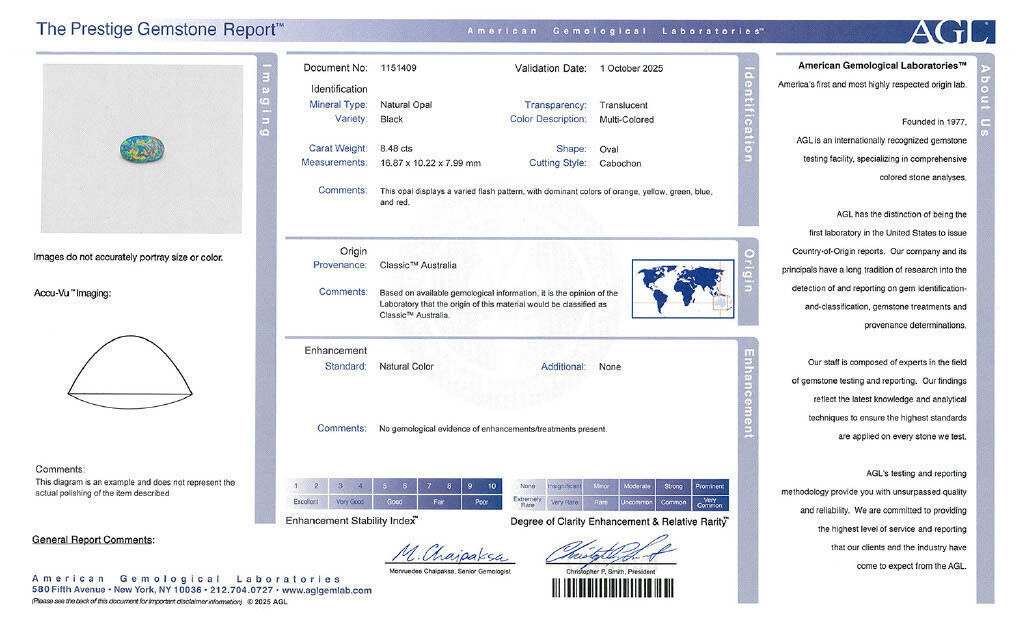 OP1309-WfV3x.z OP1309-WfV3x.z